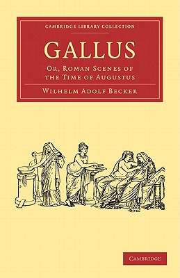 Gallus