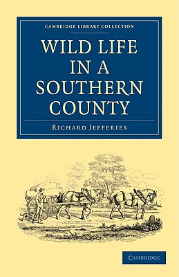 Wild Life in a Southern County