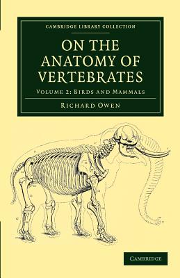 On the Anatomy of Vertebrates