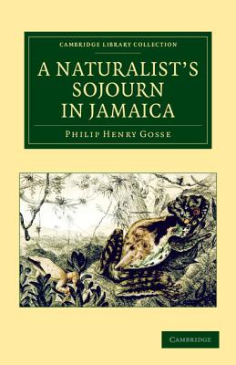 A Naturalist's Sojourn in Jamaica