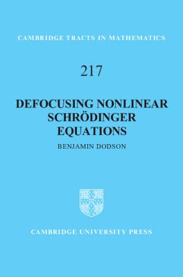 Defocusing Nonlinear Schroedinger Equations