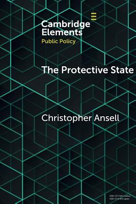 The Protective State