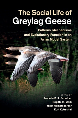 The Social Life of Greylag Geese