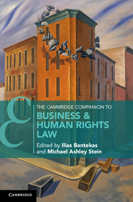 The Cambridge Companion to Business and Human Rights Law