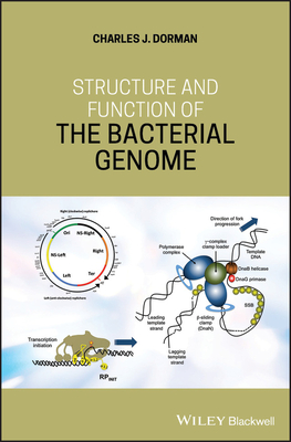 Structure and Function of the Bacterial Genome