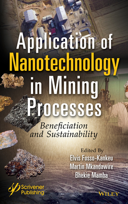 Application of Nanotechnology in Mining Processes