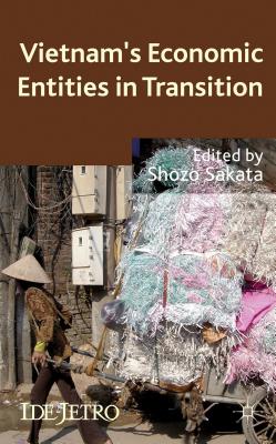 Vietnam''s Economic Entities in Transition
