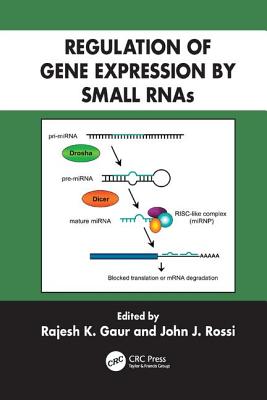 Regulation of Gene Expression by Small RNAs