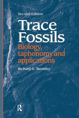 Trace Fossils