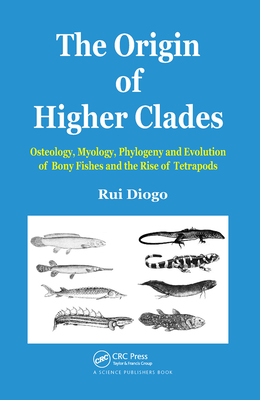 The Origin of Higher Clades