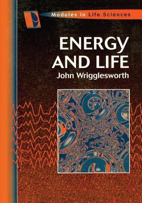 Energy And Life