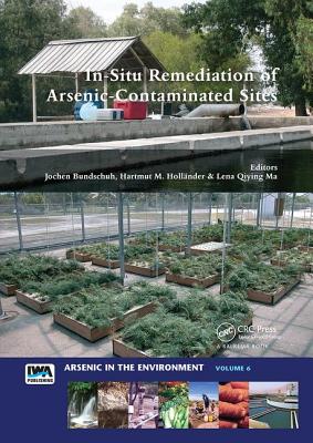 In-Situ Remediation of Arsenic-Contaminated Sites