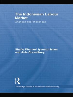 The Indonesian Labour Market