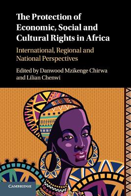 The Protection of Economic, Social and Cultural Rights in Africa