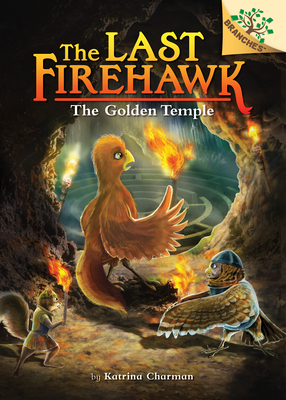 The Secret Maze: A Branches Book (The Last Firehawk #10)