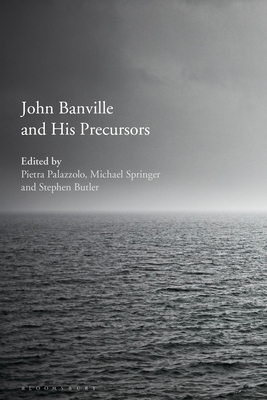 John Banville and His Precursors