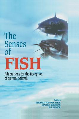 The Senses of Fish