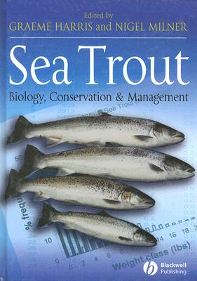 Sea Trout