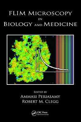 FLIM Microscopy in Biology and Medicine