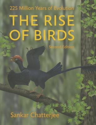 The Rise of Birds