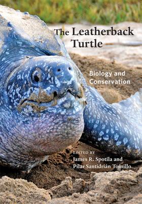 The Leatherback Turtle