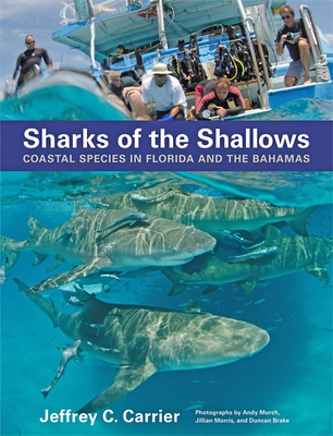 Sharks of the Shallows