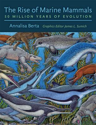 The Rise of Marine Mammals