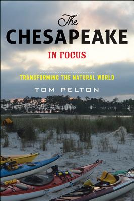 The Chesapeake in Focus