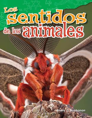 sentidos de los animales