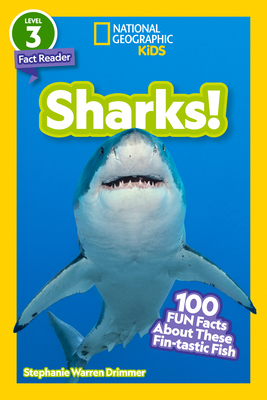 Sharks!