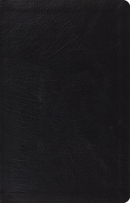 ESV Large Print Thinline Reference Bible