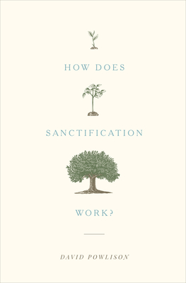 How Does Sanctification Work?