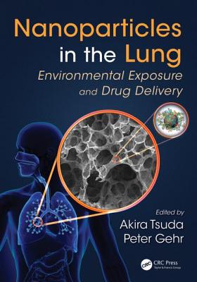 Nanoparticles in the Lung