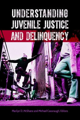 Understanding Juvenile Justice and Delinquency