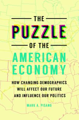 The Puzzle of the American Economy