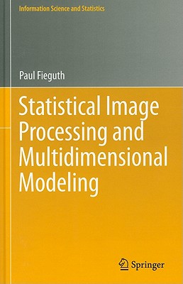 Statistical Image Processing and Multidimensional Modeling