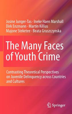 The Many Faces of Youth Crime