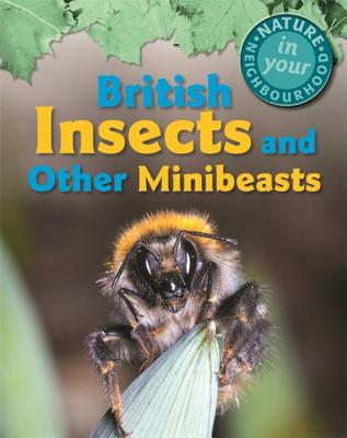 Nature in Your Neighbourhood: British Insects and other Minibeasts