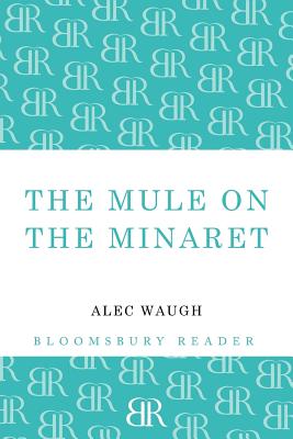 Mule on the Minaret