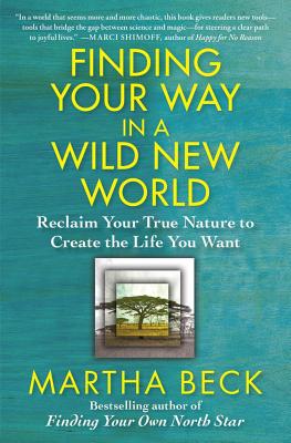 Finding Your Way in a Wild New World