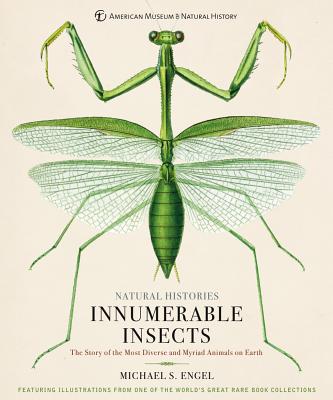 Innumerable Insects