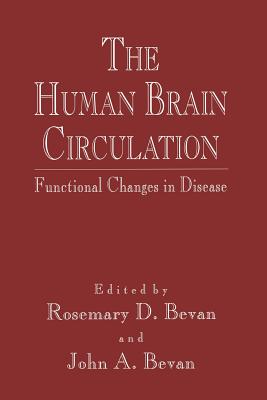 The Human Brain Circulation