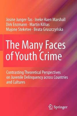 The Many Faces of Youth Crime