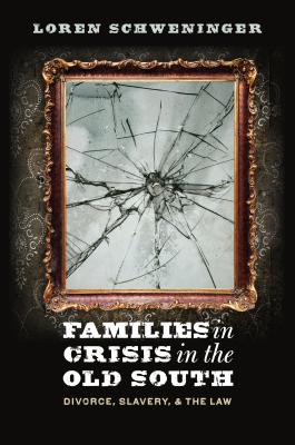 Families in Crisis in the Old South