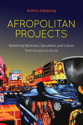 Afropolitan Projects