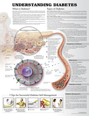 Understanding Diabetes Anatomical Chart