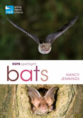 RSPB Spotlight Bats