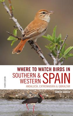 Where to Watch Birds in Southern and Western Spain