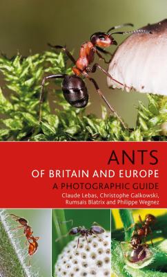 Ants of Britain and Europe