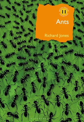 Ants